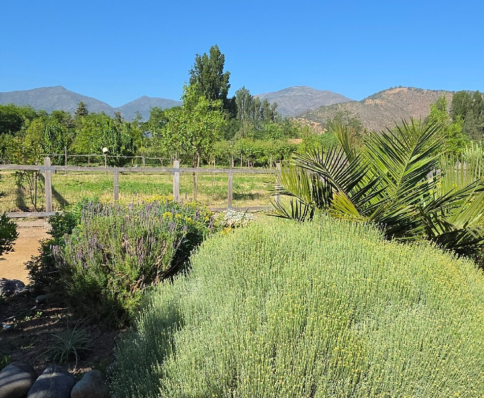 Campo La Quirinca-Isla de Maipo必去景点