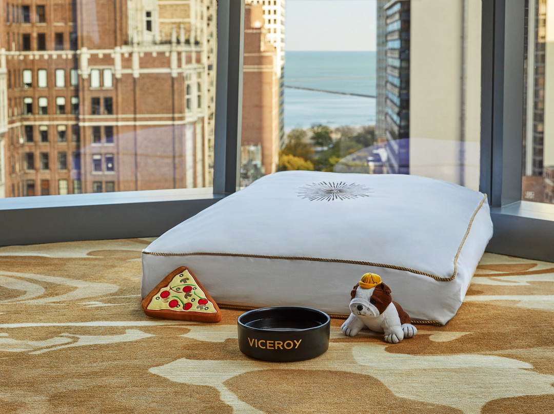 Viceroy Chicago主图