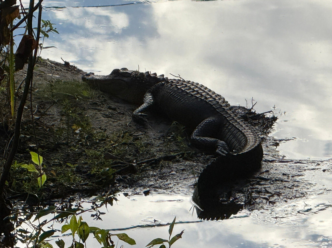Boyd Hill Nature Preserve-圣彼德斯堡必去景点
