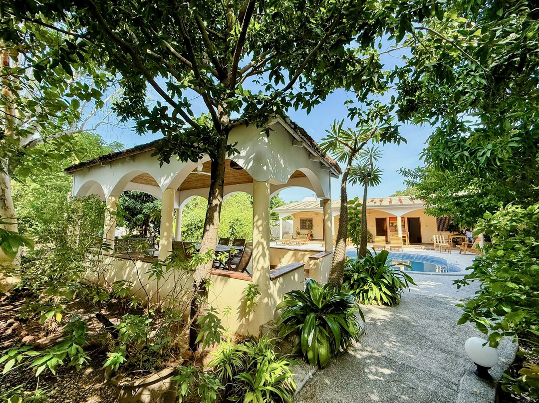 Le jardin du Saloum