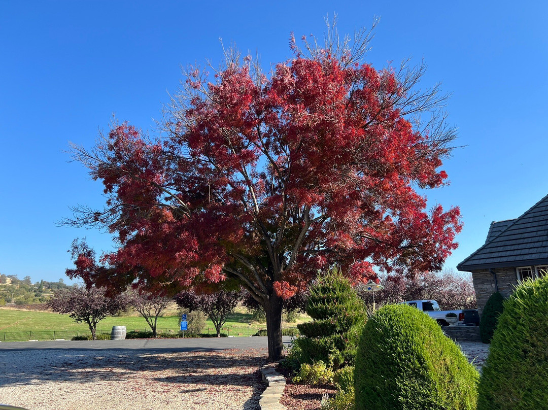 Karmere Vineyard and Winery-Plymouth必去景点