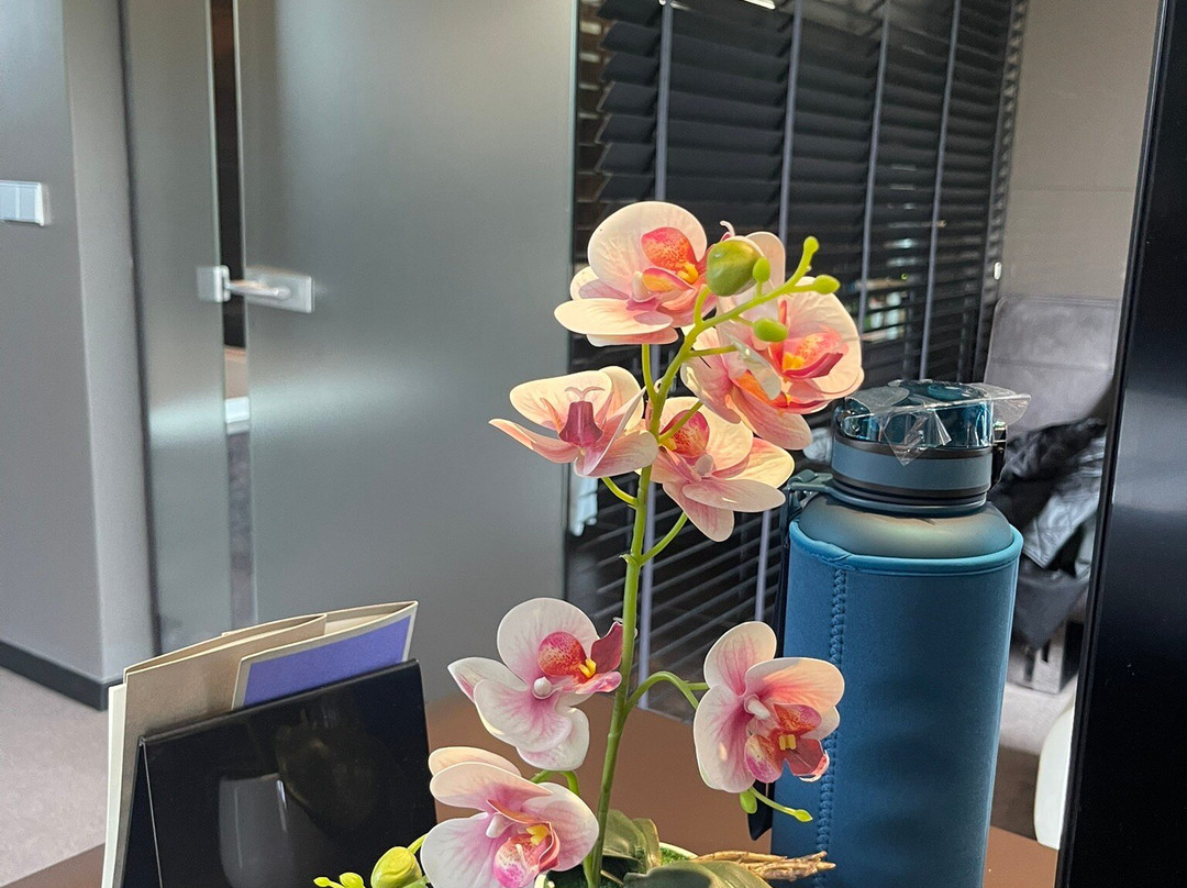 莫杜斯酒店主图