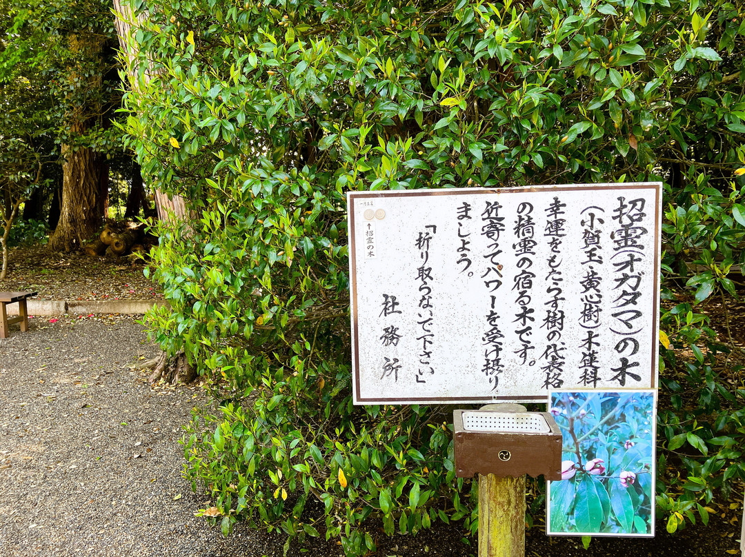 Ikisu Shrine-神栖市必去景点