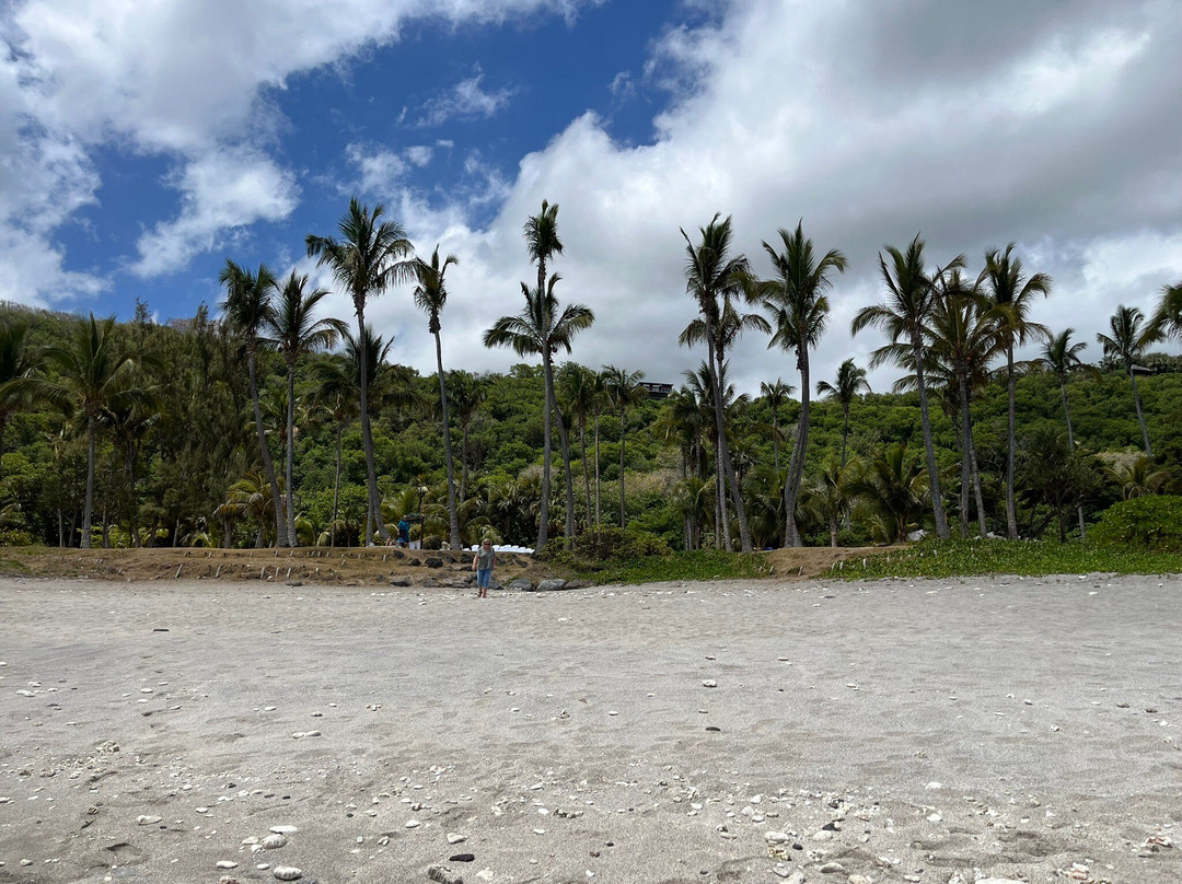 Plage de Grande Anse-Petite-Ile必去景点