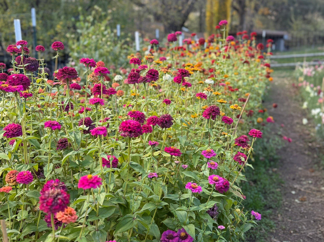 Vita Pura Yoga & Hiking Retreats-塞多纳必去景点