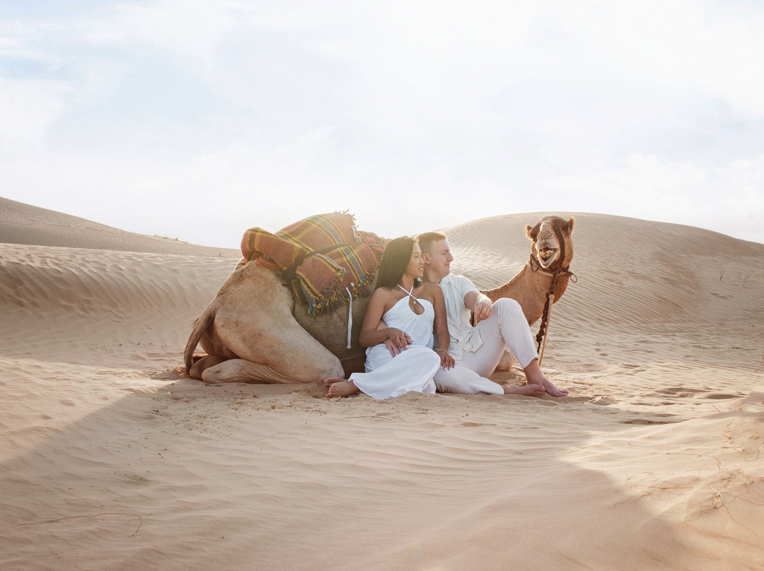 The Camel Farm-迪拜必去景点