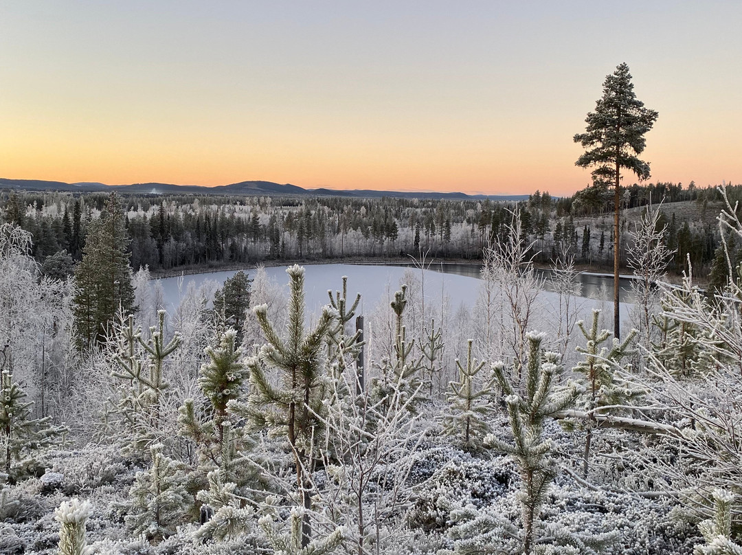 KuksaCabin-Jokkmokk必去景点