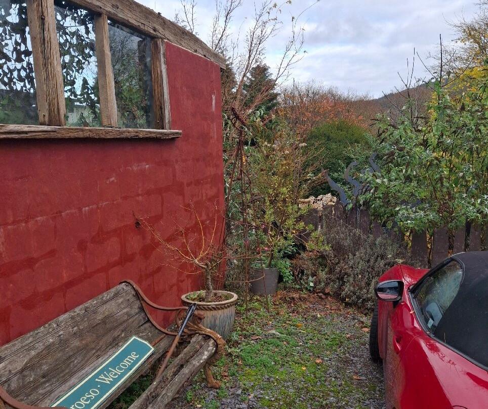 Conwy Valley Garden Maze-Dolgarrog必去景点