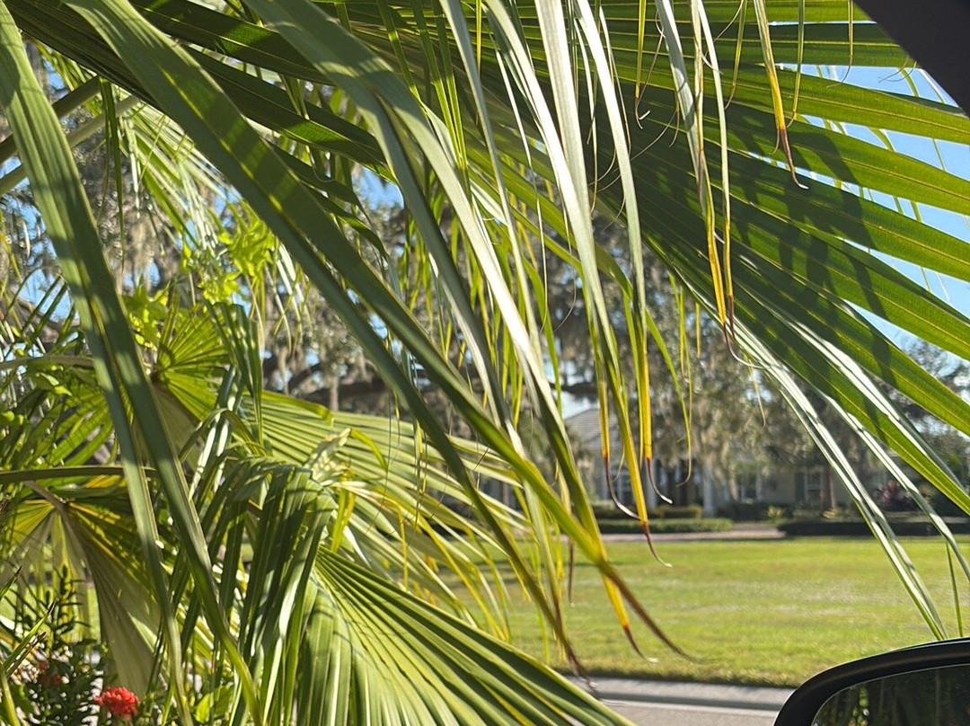 ICON Park-奥兰多必去景点