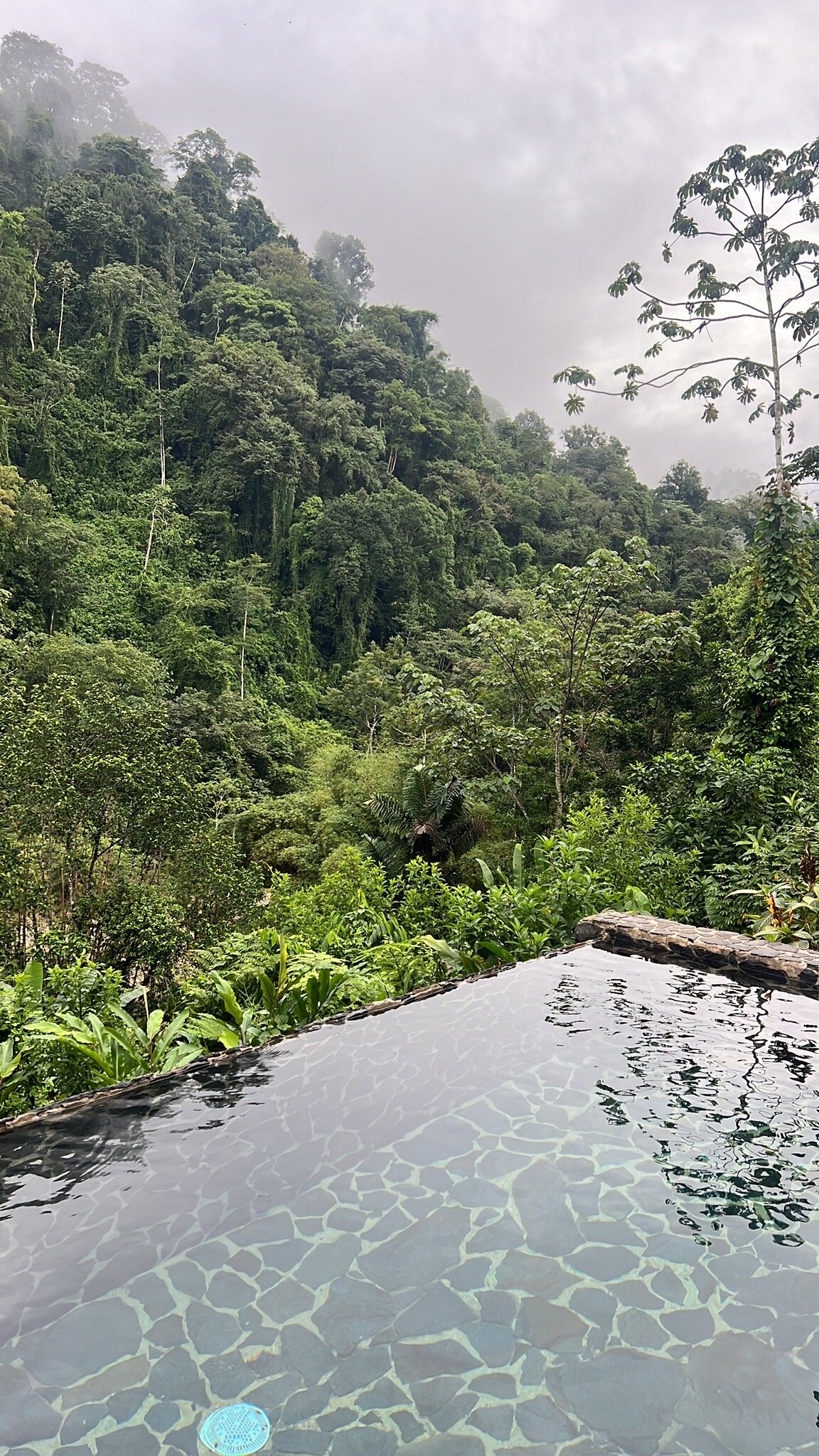 Pacuare Lodge-官方