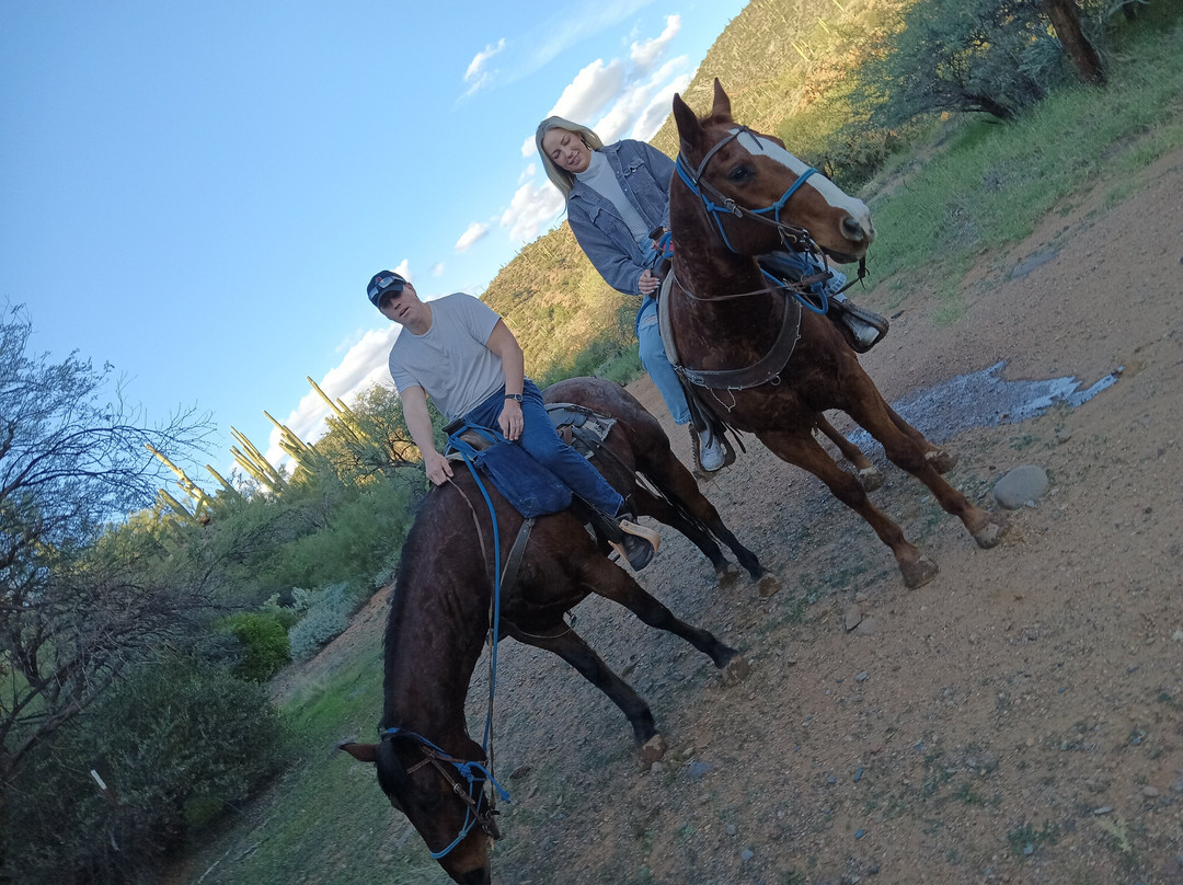 Arizona Horseback Adventures at Spur Cross-洞溪必去景点