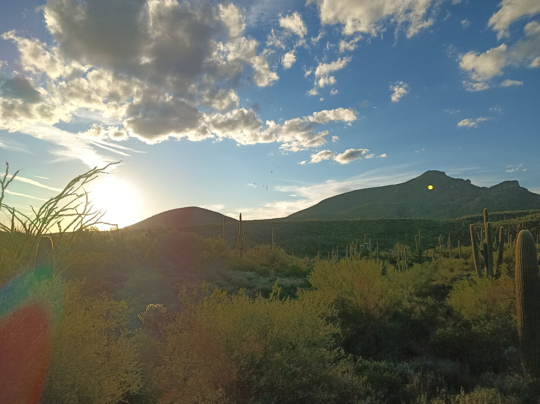 Arizona Horseback Adventures at Spur Cross-洞溪必去景点