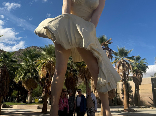 Desert Tasty Tours-棕榈沙漠必去景点