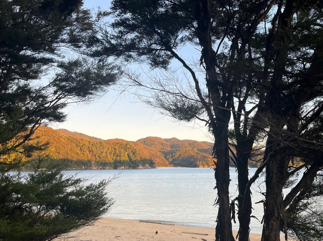 Abel Tasman Hire Company-凯特里特里必去景点