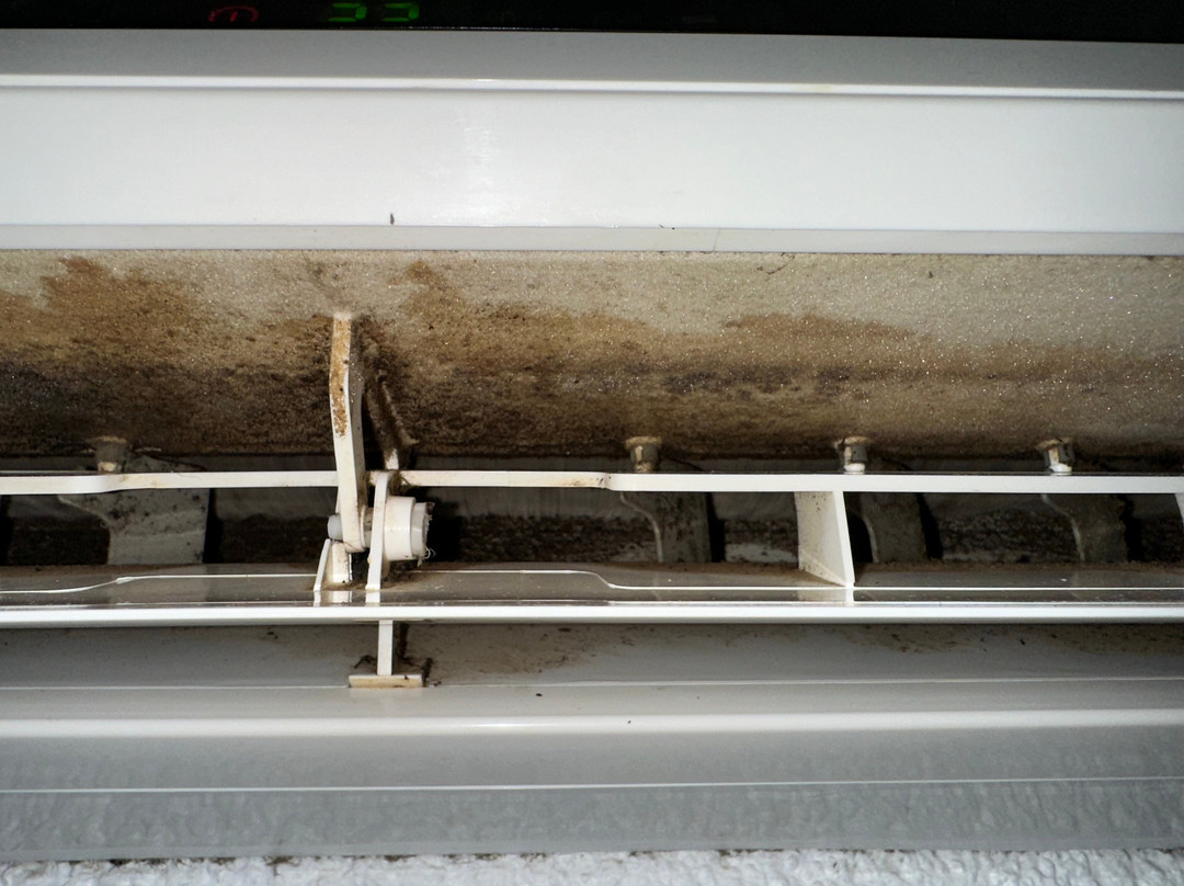 珊瑚别墅汽车旅馆主图