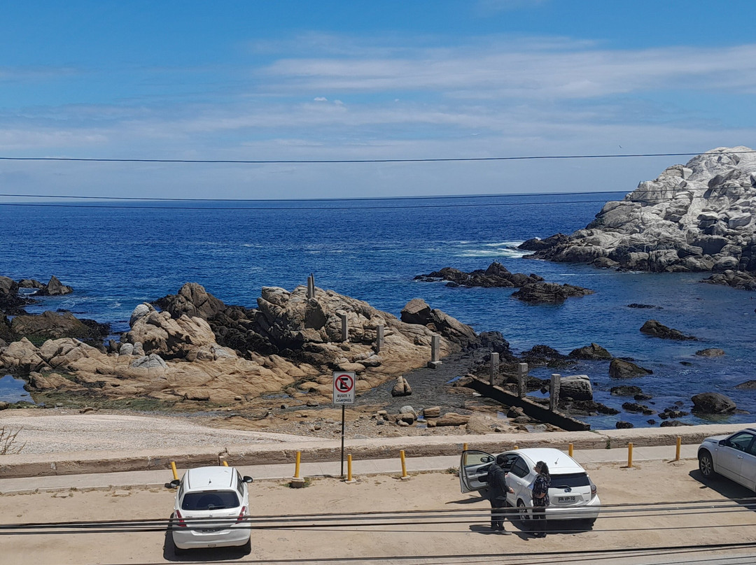 MR. Mar Suites主图