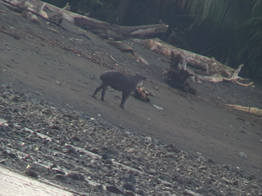 Surcos Tours-希门尼斯港必去景点