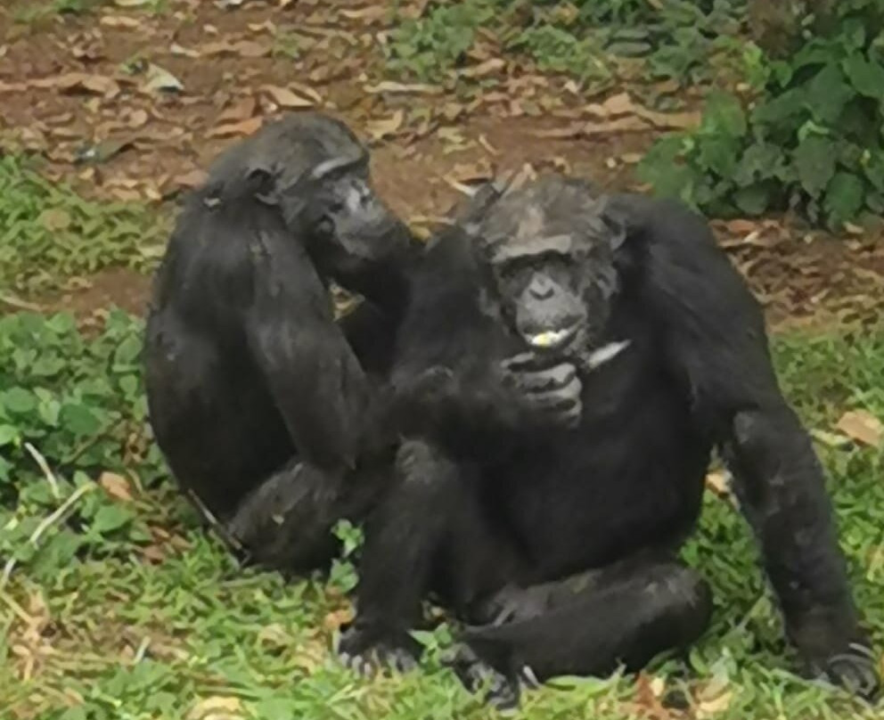 PETNAH AFRICA TOURS-坎帕拉必去景点