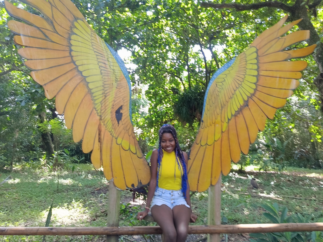 Parque Ecológico A Tribuna-Mongagua必去景点