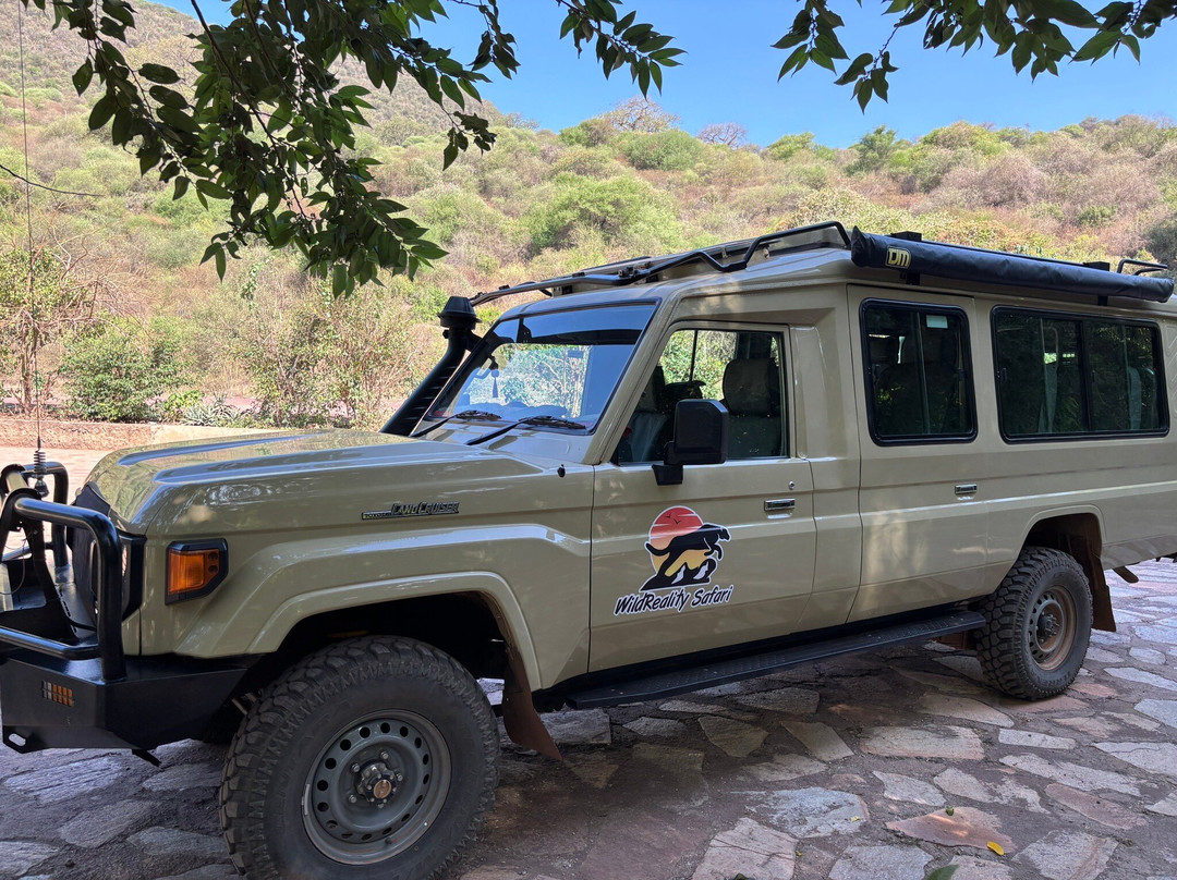 WildReality Safari-Dar es Salaam必去景点