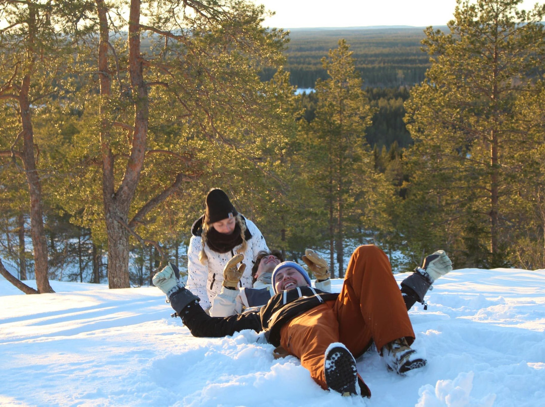 Lappvik - Snowmobile tours-Lovanger必去景点