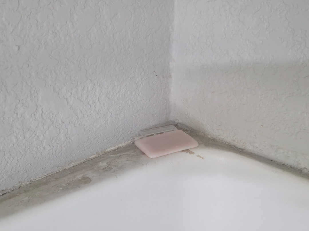 Best Western Savannah Airport Inn & Suites主图