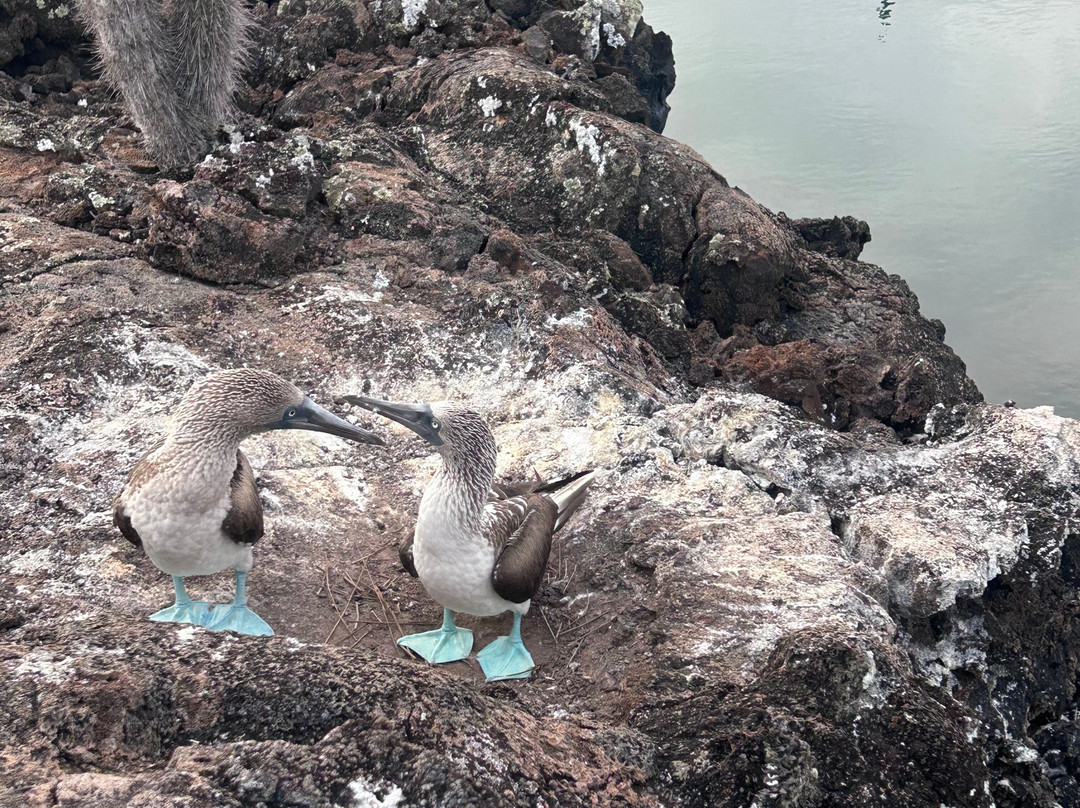 Galapagos by Local Guides-圣克鲁斯必去景点
