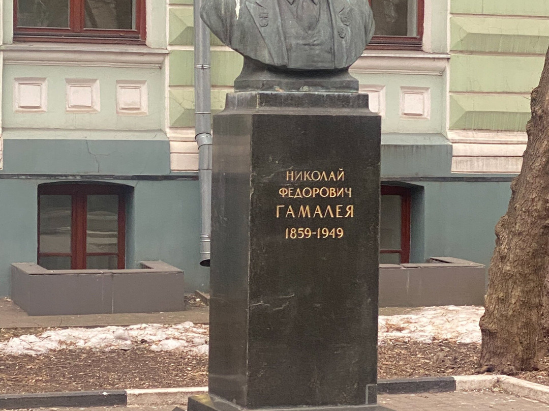 Monument-Bust to N. F. Gamaley-莫斯科必去景点