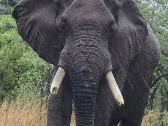 Amatungulu Tours-比勒陀利亚必去景点