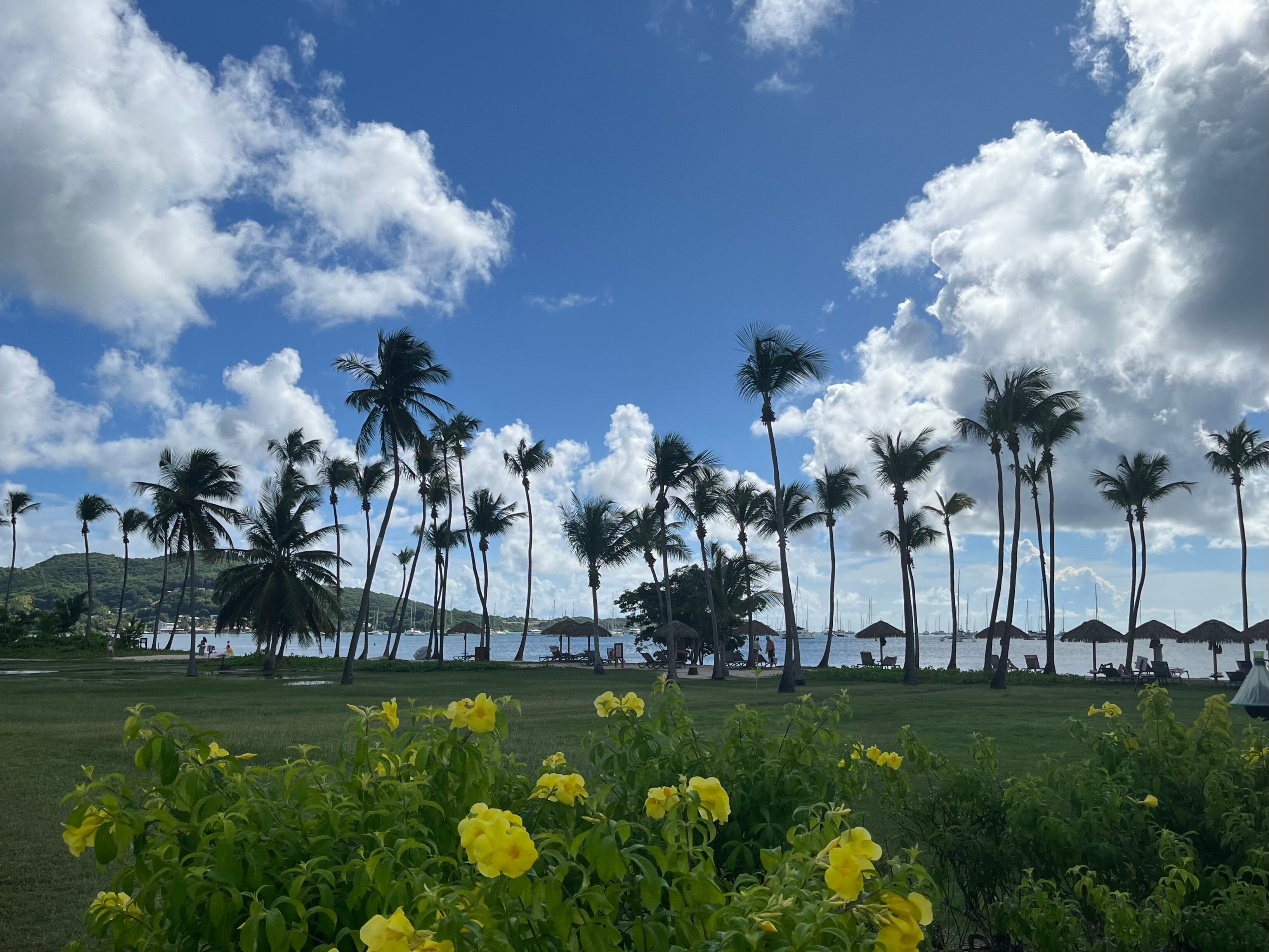Club Med Les Boucaniers - Martinique-泳池
