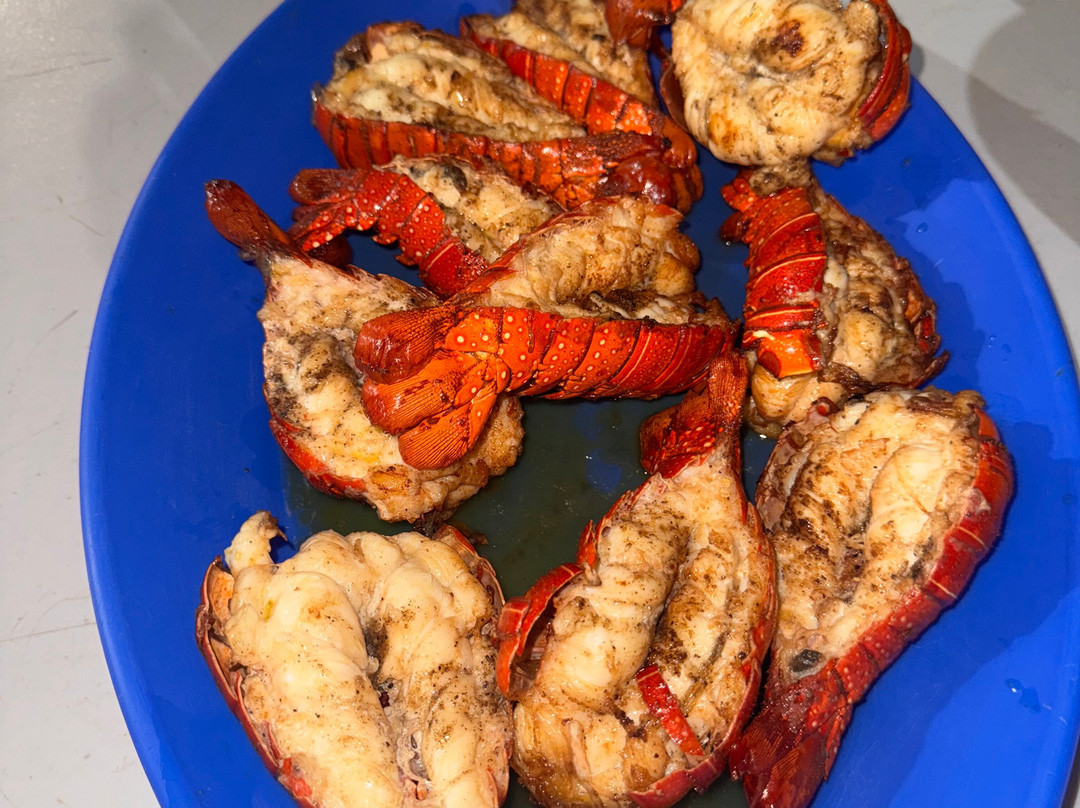 Magbay Seafaris-Puerto San Carlos必去景点