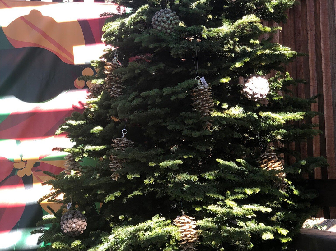 Ventura Botanical Gardens-文图拉县必去景点