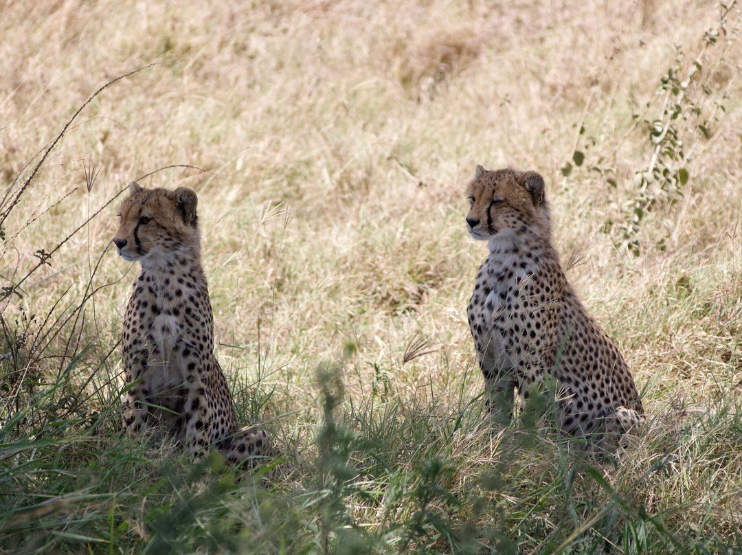Lune Adventure Ltd-莫西必去景点