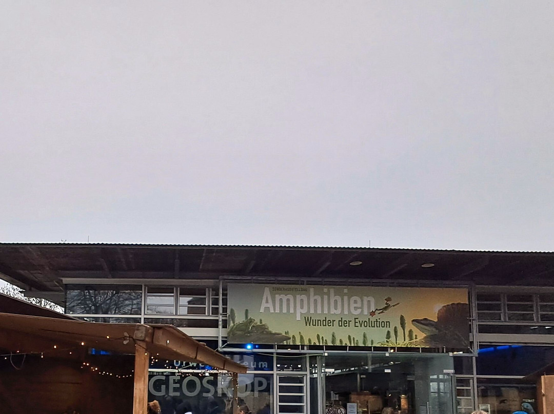 Urweltmuseum Geoskop