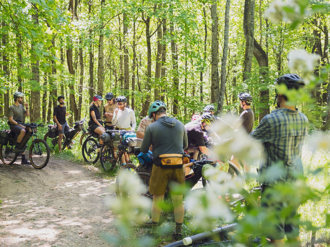 The Hub and Pisgah Tavern-Pisgah Forest必去景点