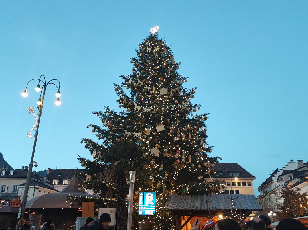 Ottavio Viaggi-Borgo a Mozzano必去景点