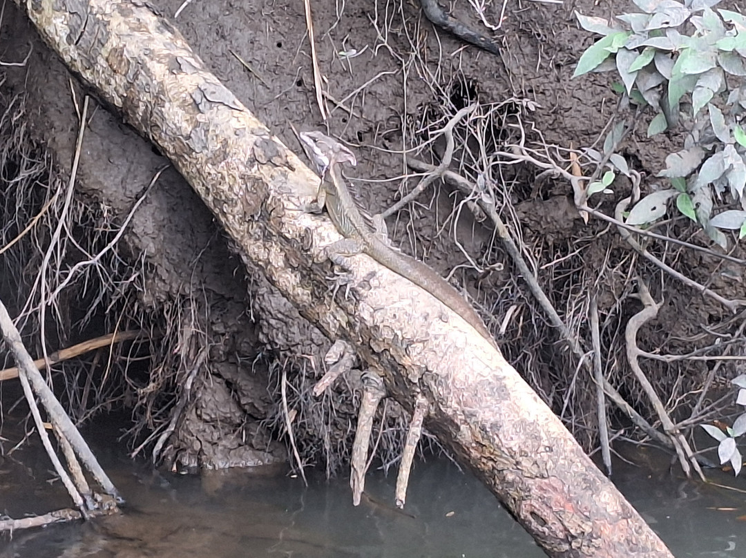 Sweet Costa Rica-塔马林多必去景点