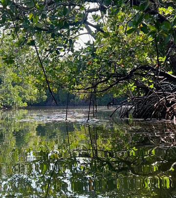 Ommy Kenya Safaris-瓦塔木必去景点