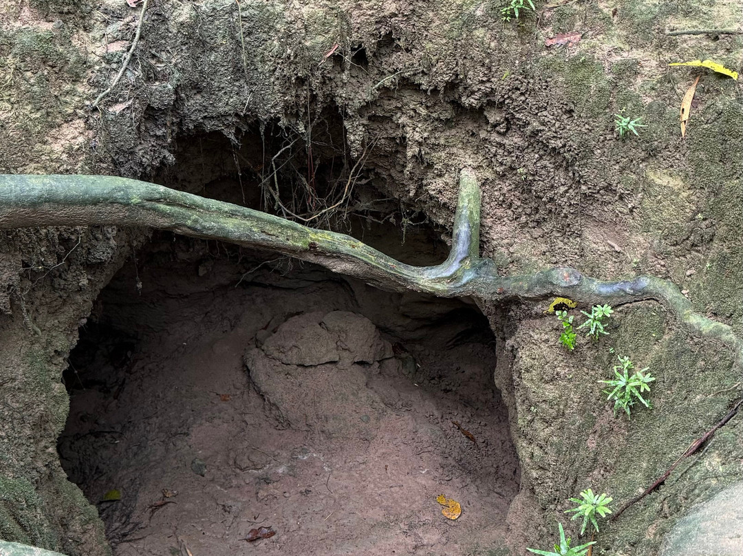 Kim Travel-胡志明市必去景点