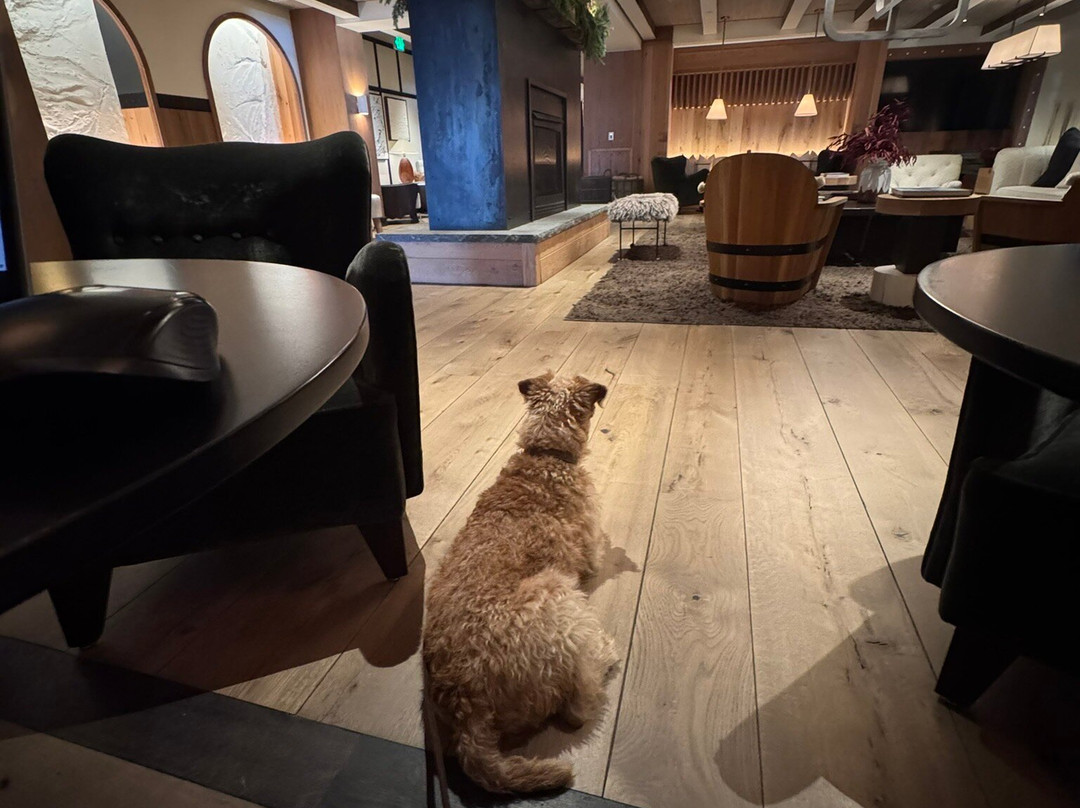 Madeline Hotel & Residences, Auberge Collection主图