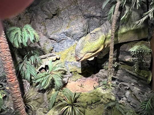 国家澳宝收藏馆-墨尔本必去景点