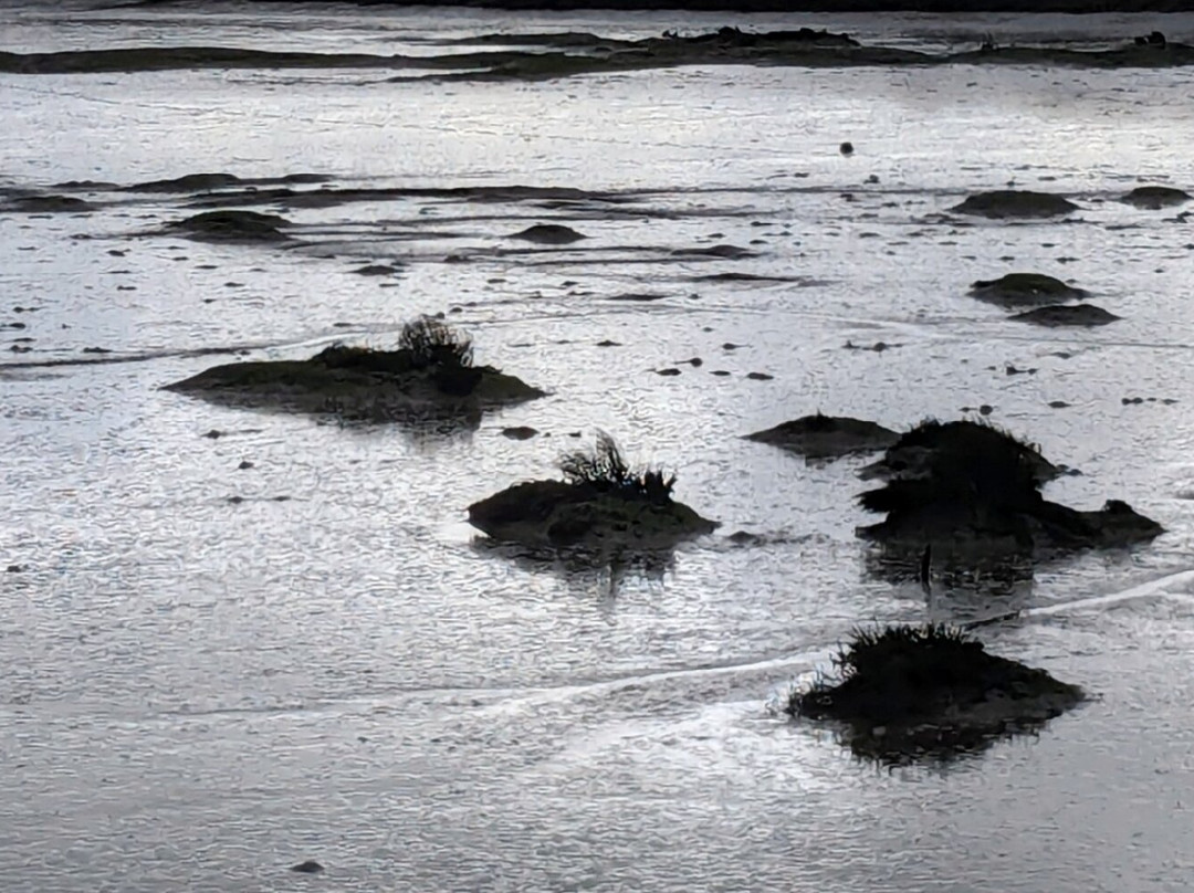 Moinho de Mare da Mourisca-Setubal必去景点