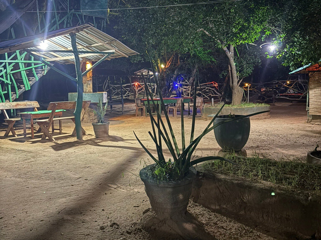 Yala Wild Tree House