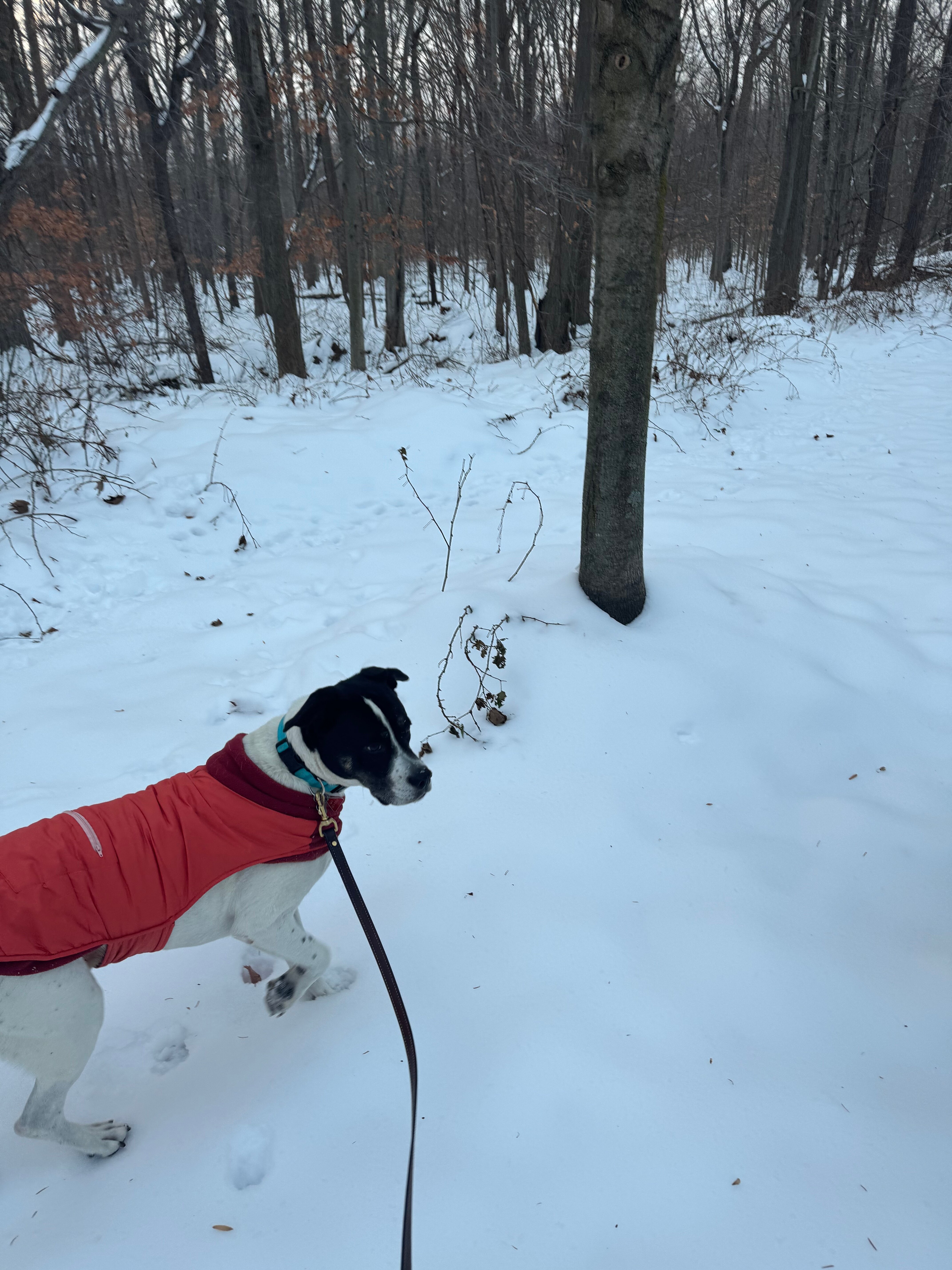 4411 Inn & Suites-浴室