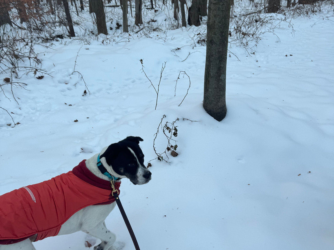 4411 Inn & Suites主图