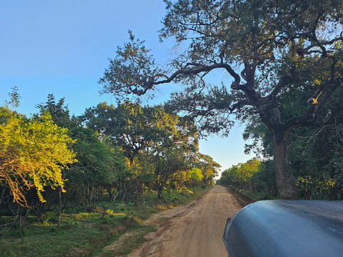 Sri Lanka Tourist Driver-Gampaha必去景点