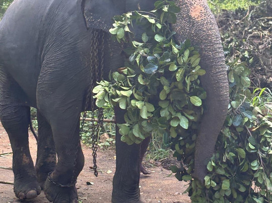 MySriLankaTravel-加勒必去景点