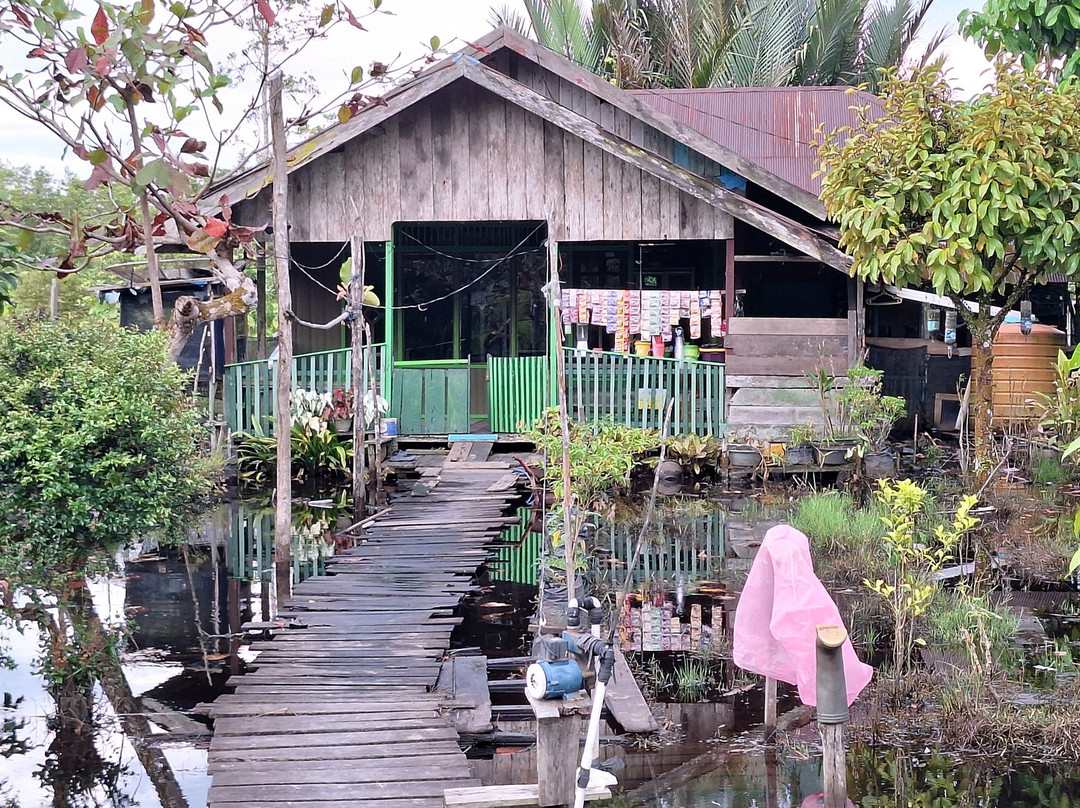 Local Guides - Tanjung Puting-Pangkalan Bun必去景点