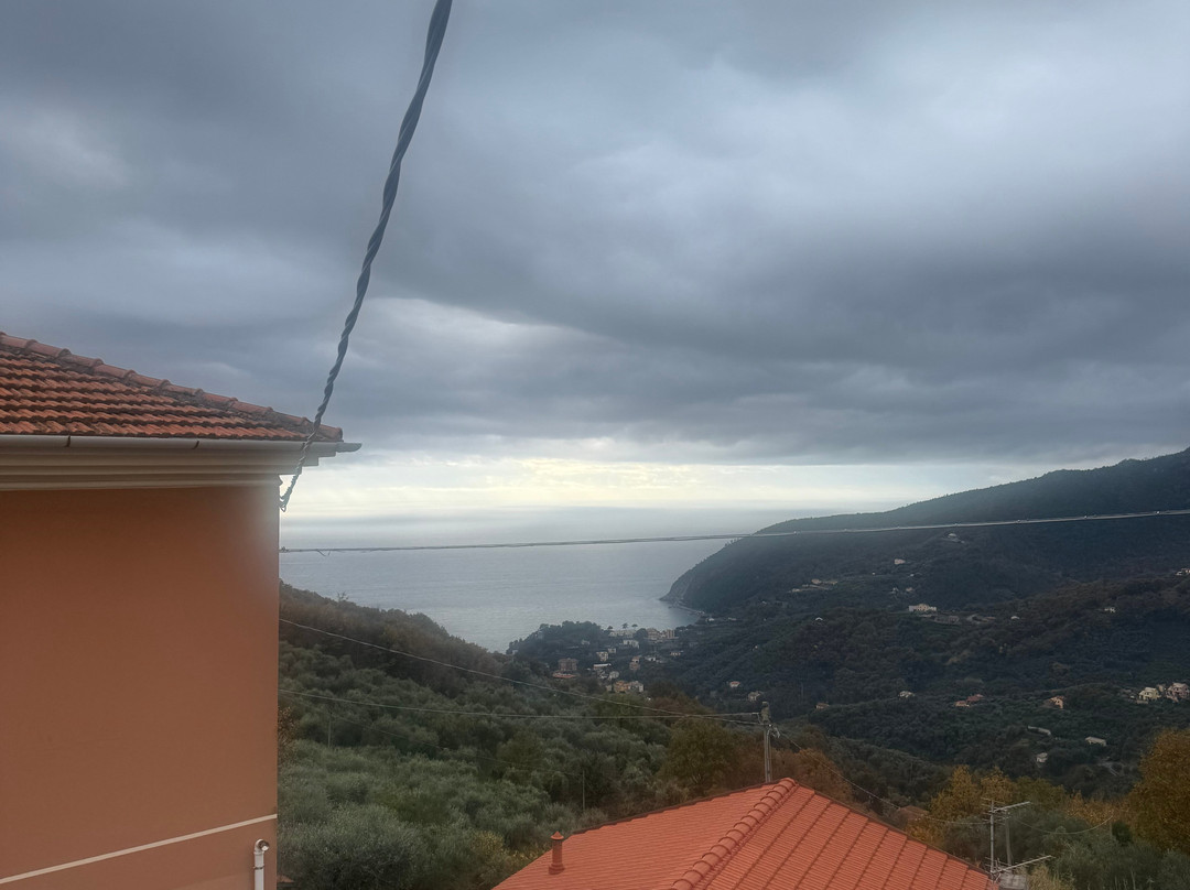 B&B Ca di Bollo主图