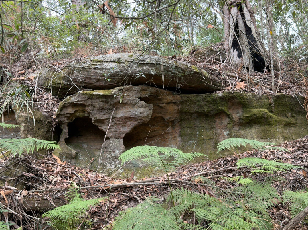 兰湾国家公园-Macquarie Park必去景点